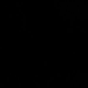 Meet your Posher, Jalen